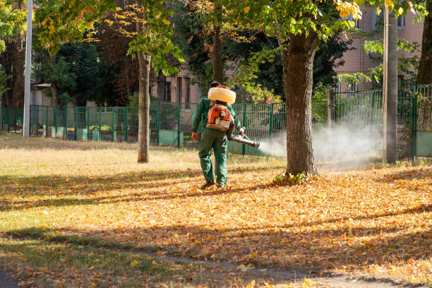 Best Pest Removal Services  in Yorklyn, PA