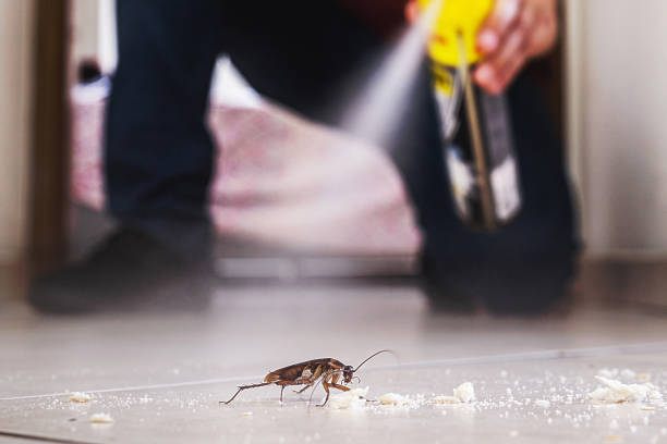 Best Emergency Pest Control  in Yorklyn, PA